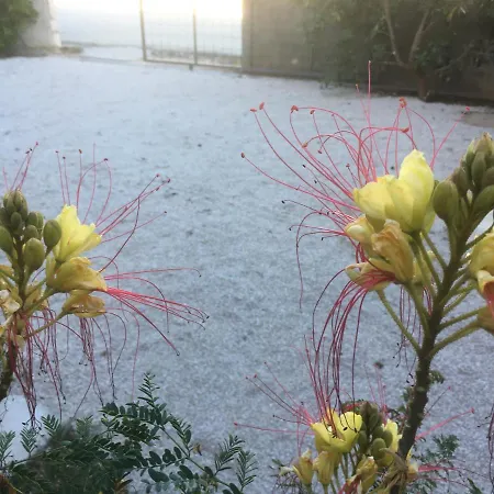 Casa de Férias Luce *